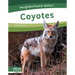 Coyotes