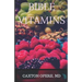 Bible Vitamins: Brain Research, Neuroplasticity and The Untapped Power Bible Verses