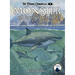 Monster of Farallon Islands