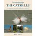 Favorite Flies for the Catskills: 50 Essential Patterns from Local Experts
