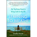 Learning to Breathe: My Yearlong Quest to Bring Calm to My Life