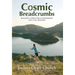 Cosmic Breadcrumbs: Building a Profitable Partnership with the Universe
