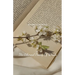 The Ethereal Poetry Of Words