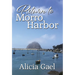 Return to Morro Harbor