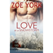 Love in a Snowstorm