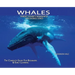 Whales, Library Edition Hardcover: The Complete Guide for Beginners