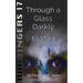 Through a Glass Darkly