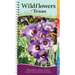 Wildflowers of Texas: Your Way to Easily Identify Wildflowers