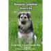 Romanian Carpathian Shepherd Dog: A Large Breed of Livestock Guardian Dogs That Originated in The Carpathian Mountains: What You Should Know About Rom