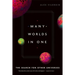 Many Worlds in One