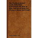 The Practical Kennel Guide With Plain Instructions On How To Rear And Breed Dogs For Pleasure, Show, And Profit
