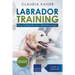 Labrador Training: Dog Training for Your Labrador Puppy
