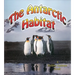 The Antarctic Habitat