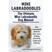 Mini Labradoodles. The Ultimate Mini Labradoodle Dog Manual. Miniature Labradoodle book for care, costs, feeding, grooming, health and training.