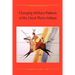 Changing Military Patterns of the Great Plains Indians