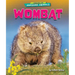 Wombat