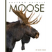 Moose