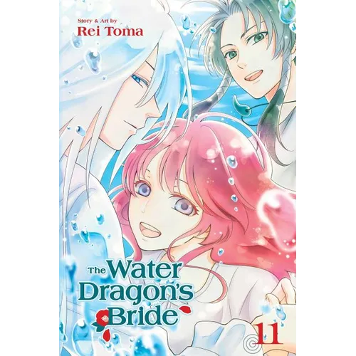 The Water Dragon's Bride, Vol. 11