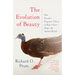 The Evolution of Beauty: How Darwin's Forgotten Theory of Mate Choice Shapes the Animal World - And Us
