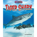 Tiger Shark