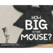 How Big Is That Mouse?