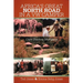 Africa's Great North Road in a VW Camper: Cape Town to Mombasa