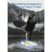 Storytelling terapeutico attraverso Harry Potter