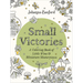 Small Victories: A Coloring Book of Little Wins and Miniature Masterpieces