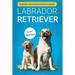 Labrador Retriever: From Puppy to Adult (0-24 Months)