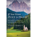 If You Want Peace in This Life: The Spiritual Letters of Venerable Bruno Lanteri