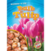 Bulb to Tulip