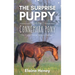 The Surprise Puppy and the Connemara Pony - The Coral Cove Horses Series