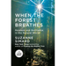 When the Forest Breathes: Renewal and Resilience in the Natural World