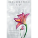 Resurrection Lily: The Brca Gene, Hereditary Cancer & Lifesaving Whispers from the Grandmother I Never Knew