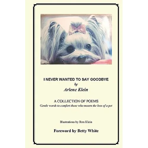I Never Wanted To Say Goodbye