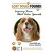 Lost Souls: FOUND! Inspiring Stories About Cocker Spaniels