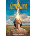 The Lightning Field