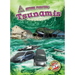 Tsunamis
