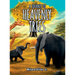 A Journey to Heavenly Trees