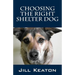 Choosing the Right Shelter Dog