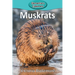 Muskrats