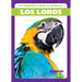 Los Loros (Parrots)