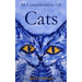 In Consideration of Cats