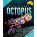 Blue-Ringed Octopus