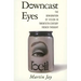 Downcast Eyes: The Denigration of Vision in Twentieth-Century French Thought
