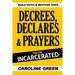Decrees, Declares & Prayers For The Incarcerated