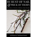 By Rust of Nail & Prick of Thorn: The Theory & Practice of Effective Home Warding