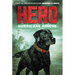 Hero: Hurricane Rescue