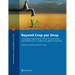 Beyond Crop per Drop: Assessing Agricultural Water Productivity and Efficiency in a Maturing Water Economy