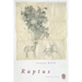 Raptus